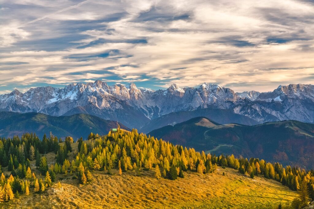 mountains, alps, trees-1244132.jpg